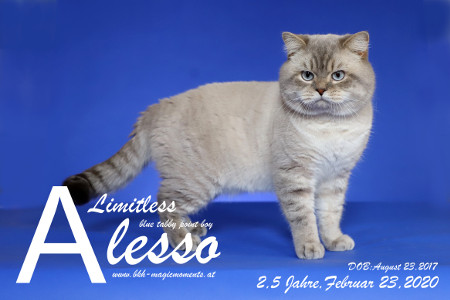 Limitless Alesso