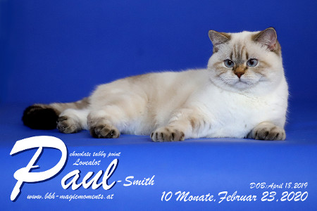 Lovealot Paul Smith