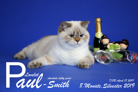 Lovealot Paul Smith