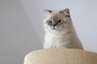 George ist 12 Monate alt ( 22.08.2021 )