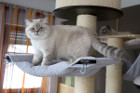 George ist 12 Monate alt ( 22.08.2021 )