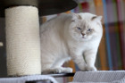 George ist 12 Monate alt ( 22.08.2021 )