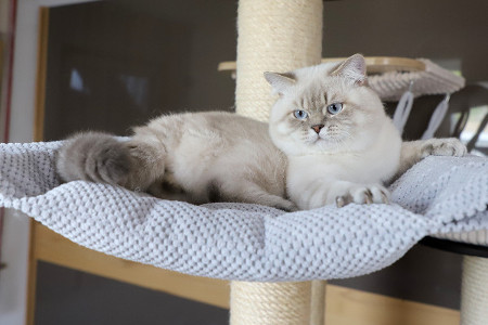 George ist 12 Monate alt ( 22.08.2021 )