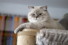 George ist 12 Monate alt ( 22.08.2021 )
