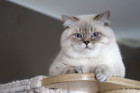 George ist 12 Monate alt ( 22.08.2021 )