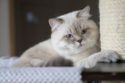 George ist 12 Monate alt ( 22.08.2021 )