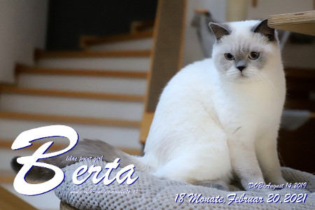 MagicMoments Berta