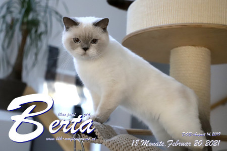 MagicMoments Berta