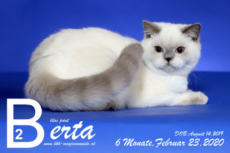 MagicMoments Berta