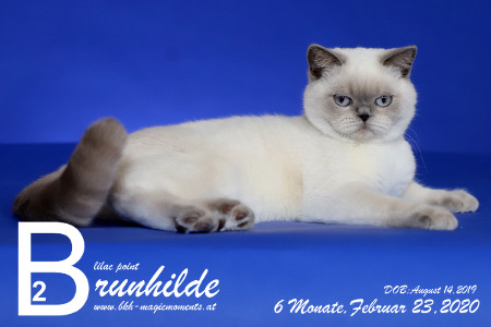 MagicMoments Brunhilde
