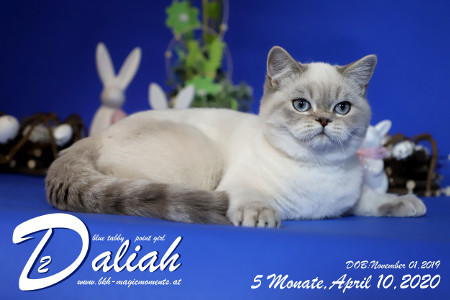 MagicMoments Daliah