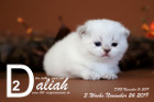 Daliah ist 3 Wochen alt ( 24.11.2019 )