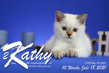 Kathy ist 10 Wochen alt ( 18.07.2021 )