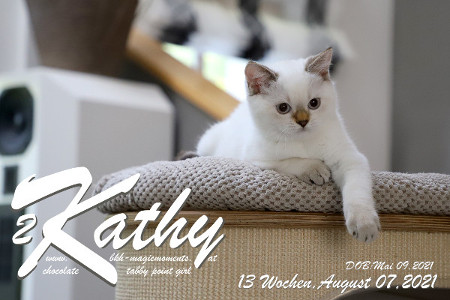 Kathy ist 13 Wochen alt ( 07.08.2021 )
