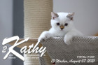 Kathy ist 13 Wochen alt ( 07.08.2021 )