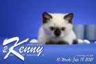 Kenny ist 10 Wochen alt ( 18.07.2021 )