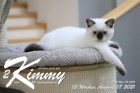 Kimmy ist 13 Wochen alt ( 07.08.2021 )