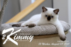 Kimmy ist 13 Wochen alt ( 07.08.2021 )