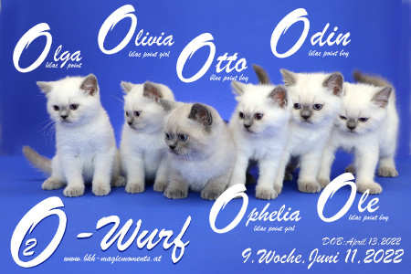 Unser O2-Baerchen sind in der 9.Lebenswoche ( 11.06.2022 )