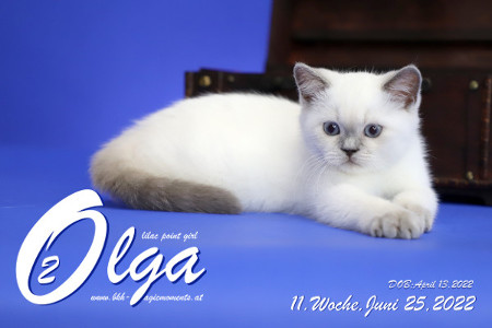 Olga ist in der 11.Lebenswoche ( 25.06.2022 )
