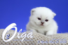 Olga ist in der 3.Lebenswoche ( 01.05.2022 )