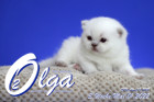 Olga ist in der 3.Lebenswoche ( 01.05.2022 )