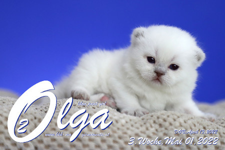 Olga ist in der 3.Lebenswoche ( 01.05.2022 )