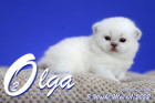 Olga ist in der 3.Lebenswoche ( 01.05.2022 )