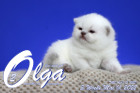 Olga ist in der 3.Lebenswoche ( 01.05.2022 )
