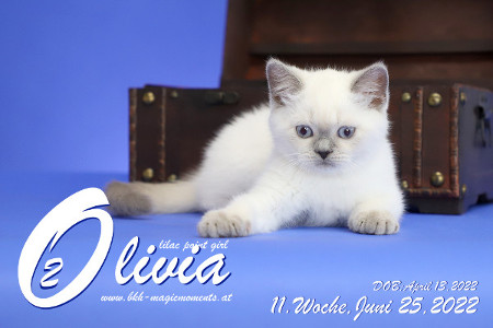Olivia ist in der 11.Lebenswoche ( 25.06.2022 )