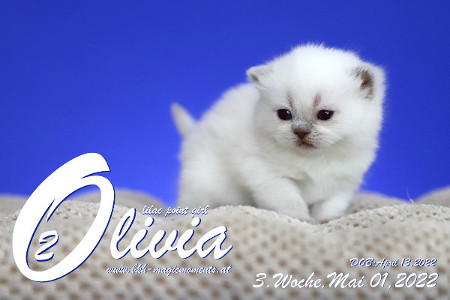 Olivia ist in der 3.Lebenswoche ( 01.05.2022 )