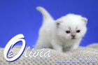 Olivia ist in der 3.Lebenswoche ( 01.05.2022 )
