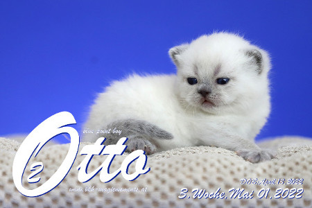 Otto ist in der 3.Lebenswoche ( 01.05.2022 )