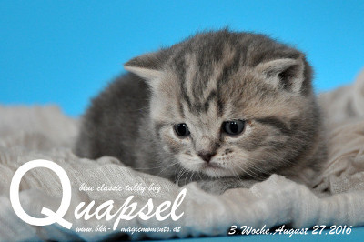 Quapsel ist 3 Wochen alt geworden ( 27.08.2016 )