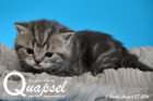 Quapsel ist 3 Wochen alt geworden ( 27.08.2016 )