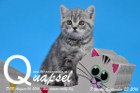 Quapsel ist 7 Wochen alt geworden ( 23.09.2016 )