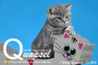 Quapsel ist 7 Wochen alt geworden ( 23.09.2016 )