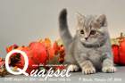 Quapsel ist 9 Wochen alt geworden ( 08.10.2016 )
