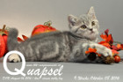 Quapsel ist 9 Wochen alt geworden ( 08.10.2016 )
