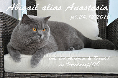 Abigail alias anastasia lebt in Vorchdorf