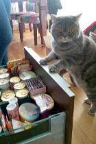 Cooper alias Coopsi vor seiner Essenslade