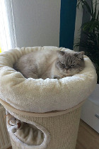 Rico lebt seit Juni 2014 mit seiner Tochter Chiara in Bad Ischl