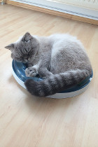Rico lebt seit Juni 2014 mit seiner Tochter Chiara in Bad Ischl