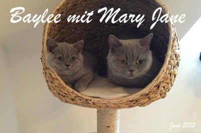 Mary Jane alias Heidi lebt mit ihrer Mama Baylee in Krems/NÖ