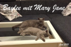 Mary Jane alias Heidi lebt mit ihrer Mama Baylee in Krems/NÖ