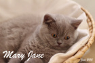 Mary Jane alias Heidi lebt mit ihrer Mama Baylee in Krems/NÖ