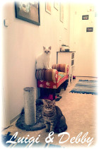 Debby und Luigi sind ein super Team