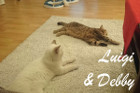 Debby und Luigi beim Chillen