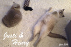 Justi lebt mit ihrem Sohn Henry in Linz