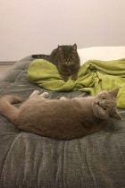 Paula ist 1 Jahr alt und lebt in OÖ